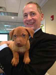 David Biemesderfer, President & CEO of the Florida Philanthropic Network, give some extra love to a rescued puppy from Honor Animal Rescue while visiting during the 36-Hour Giving Challenge